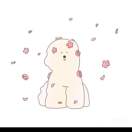 单典甄选