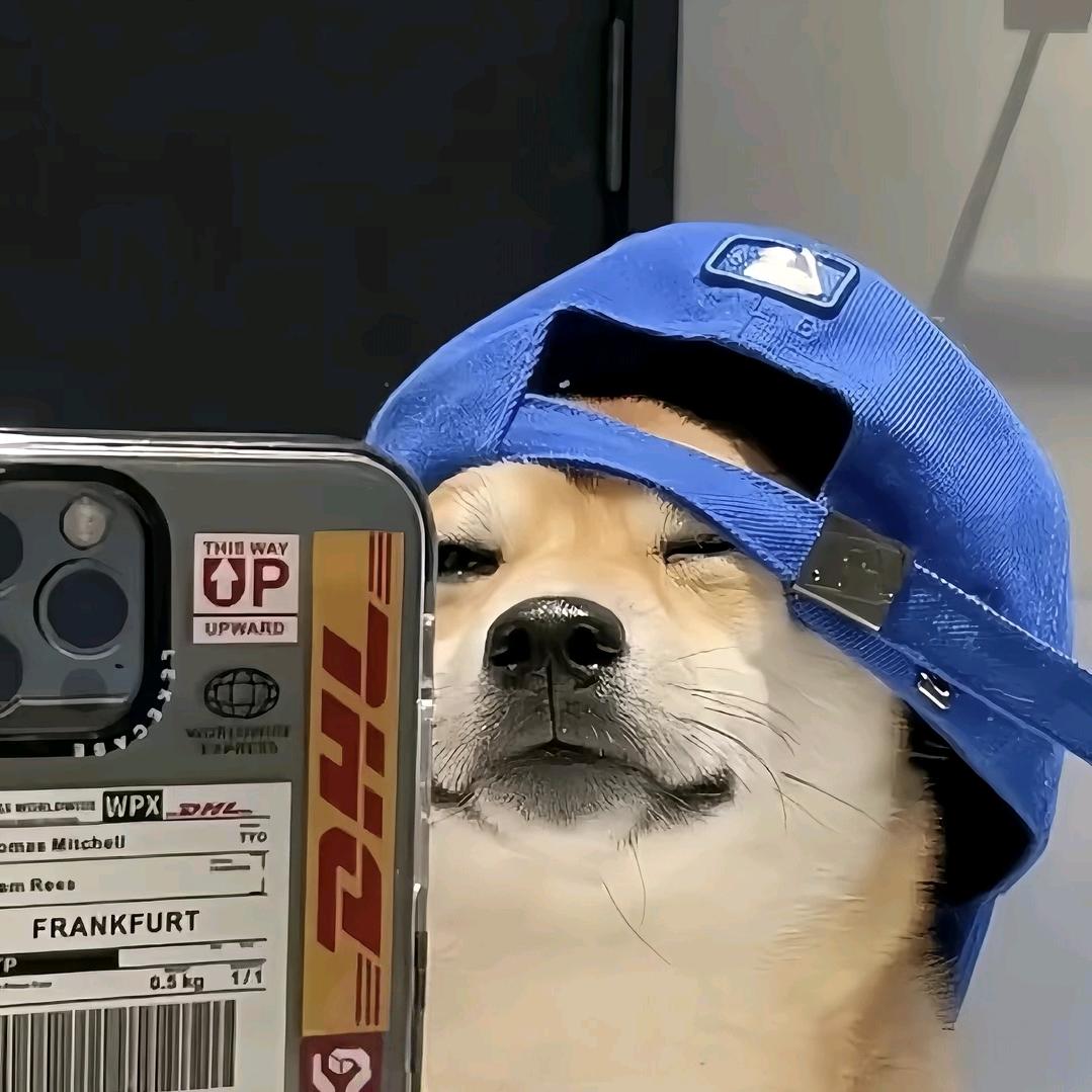 瓜皮瓜皮
