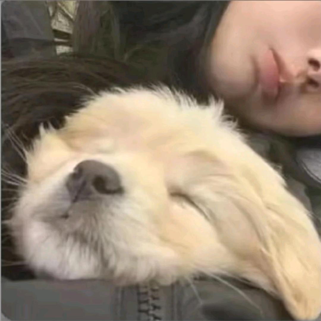 不给糖就捣蛋