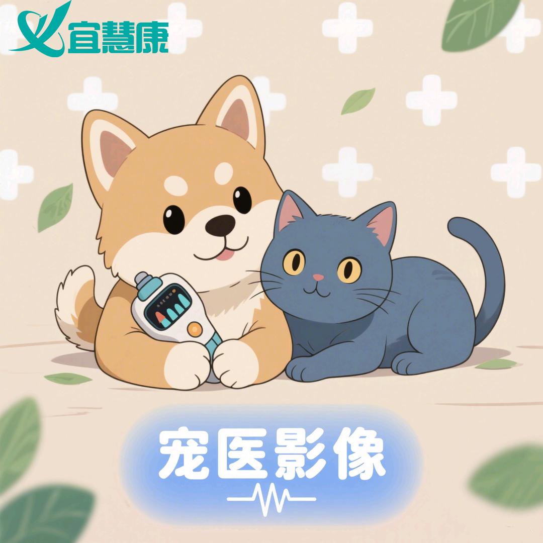 宜慧康宠物超声厂家