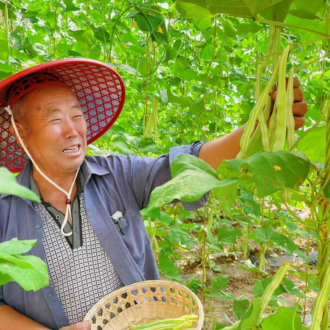 北京鹤福润达商贸有限公司