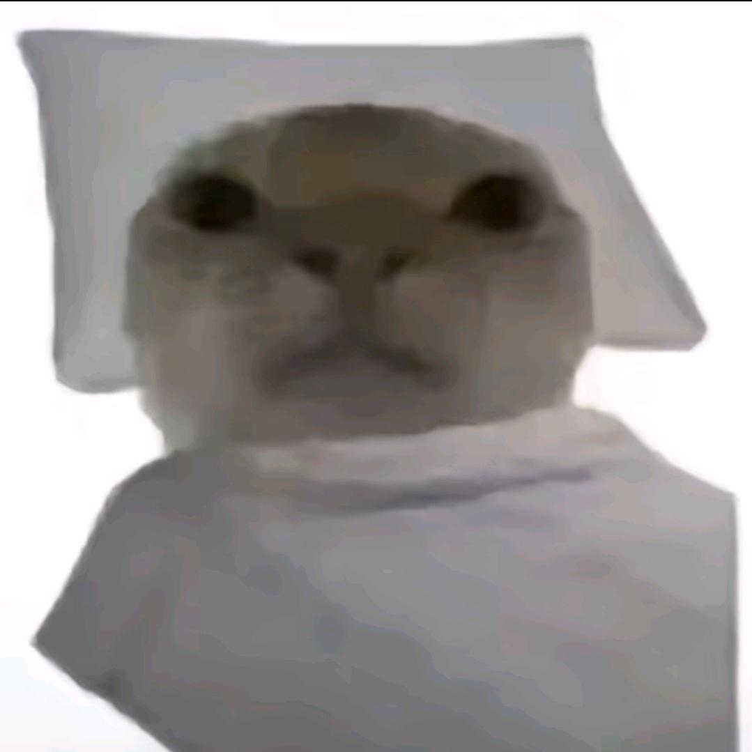我不是库梓