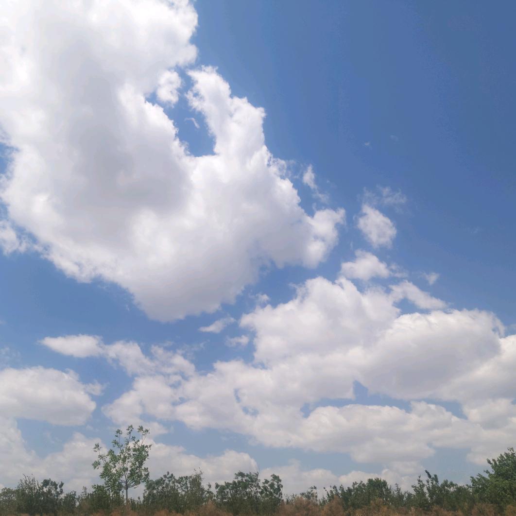 抖音是最大的的笑话