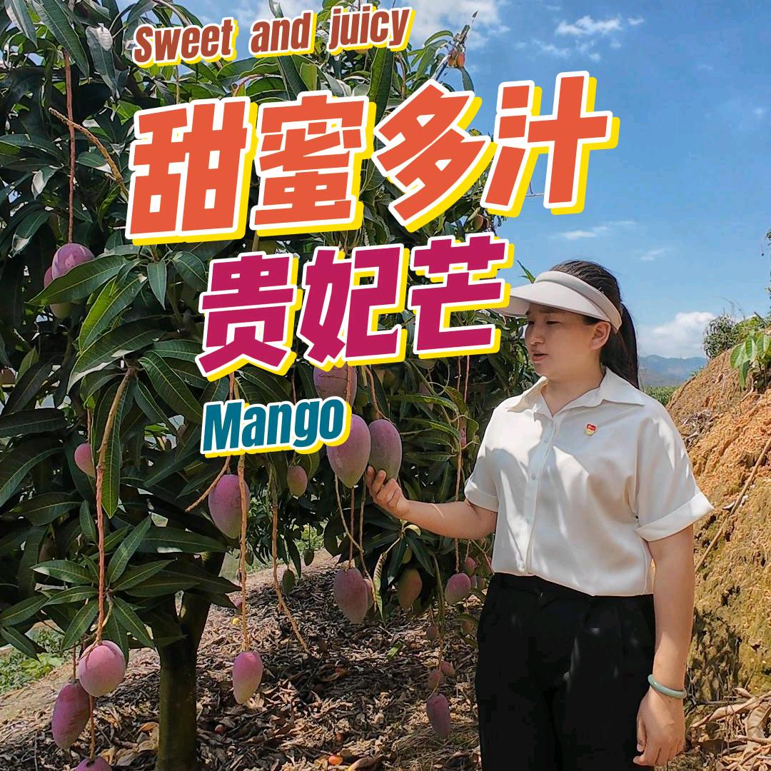 90后支书直播助农
