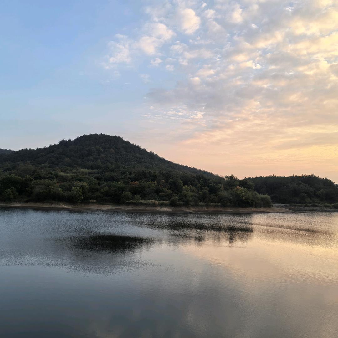 小金导游 爱玩上海