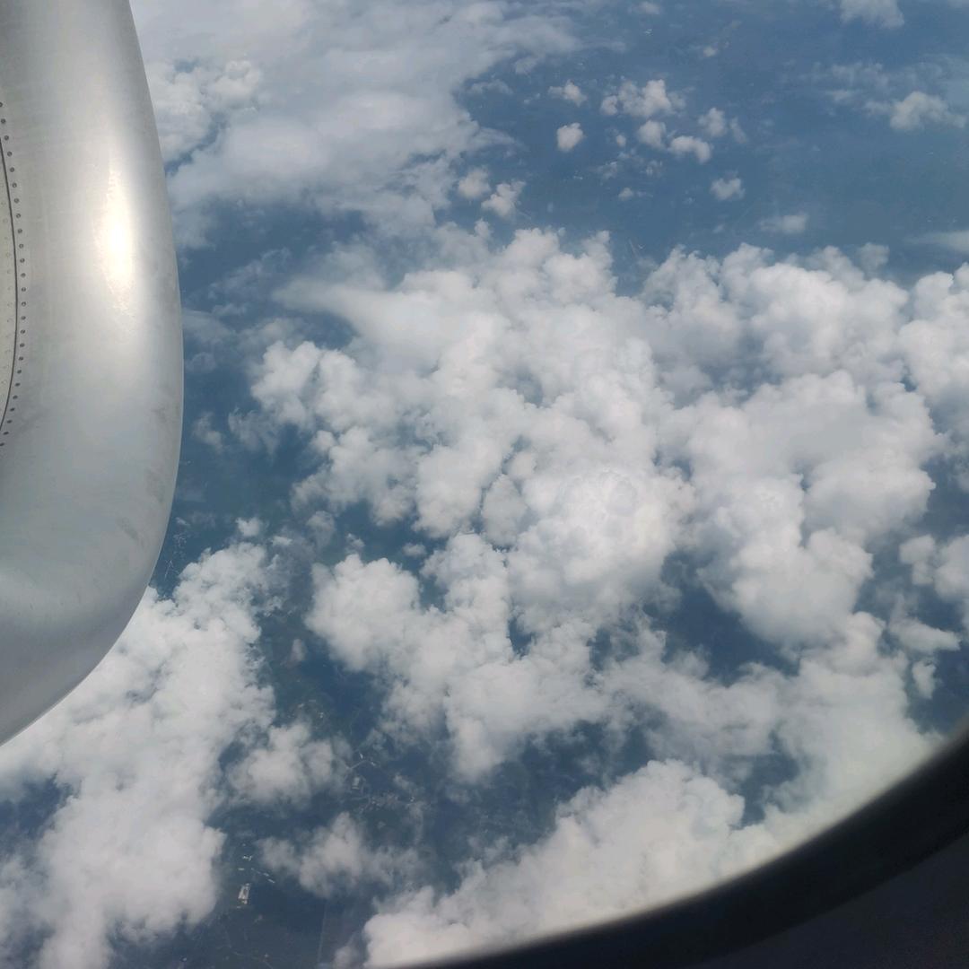 明莱森品牌撤柜