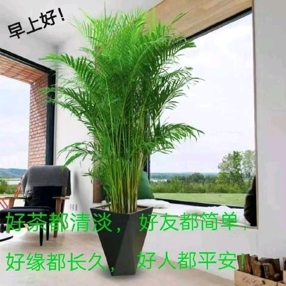 弹/