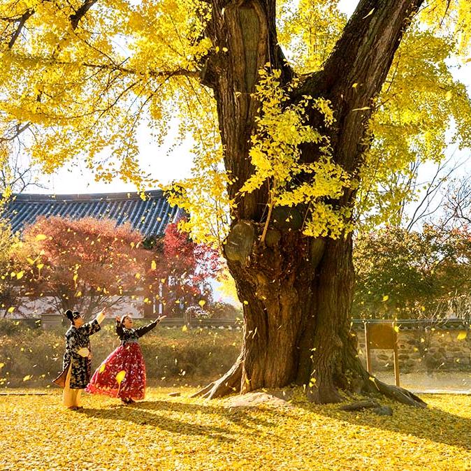 唱出回忆 留下思念