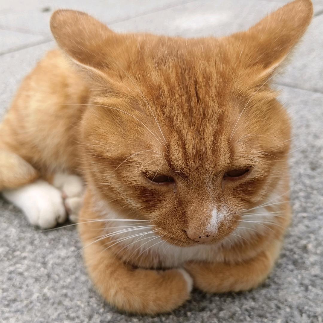 江江