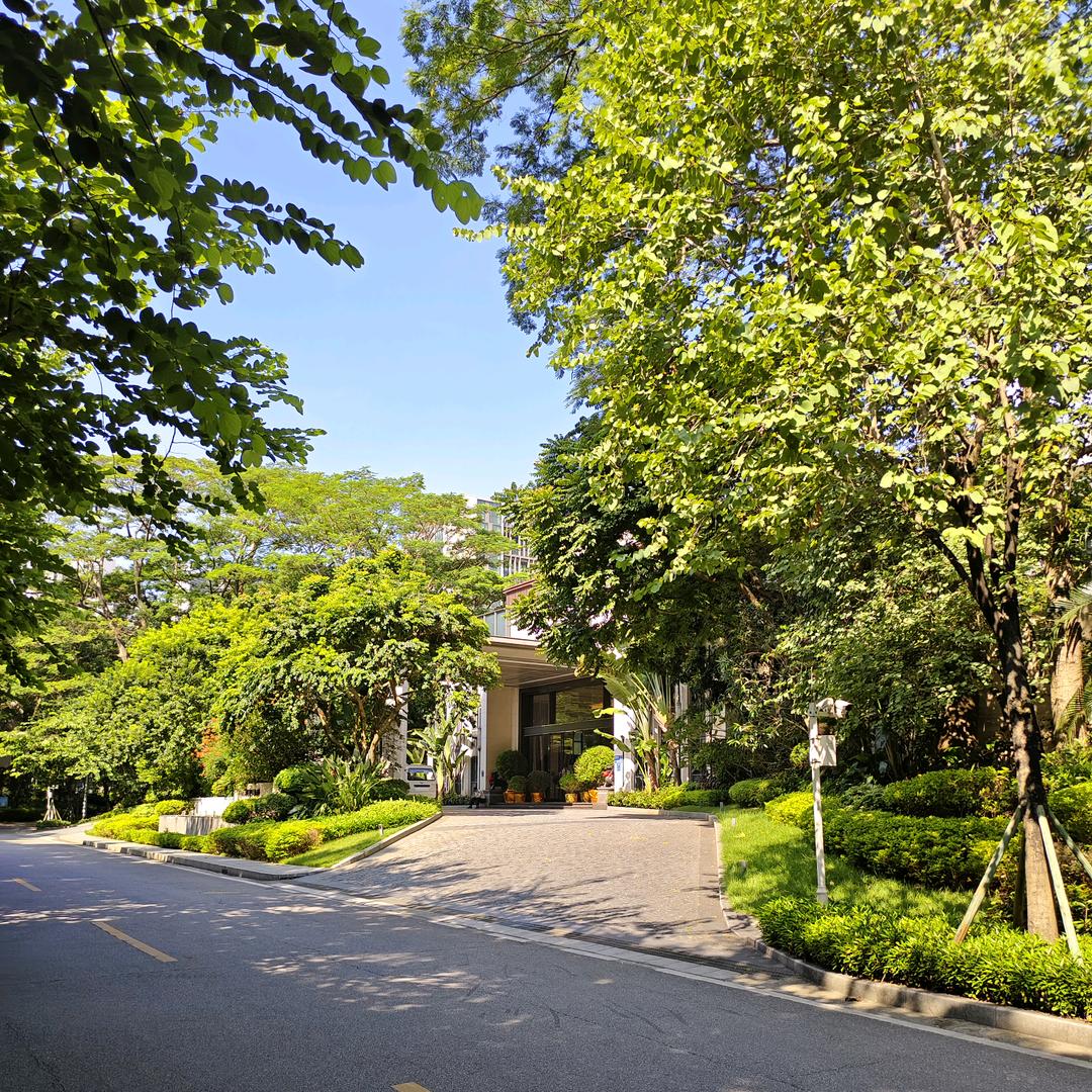 饶平县汫洲镇手鲜香韵茶叶店