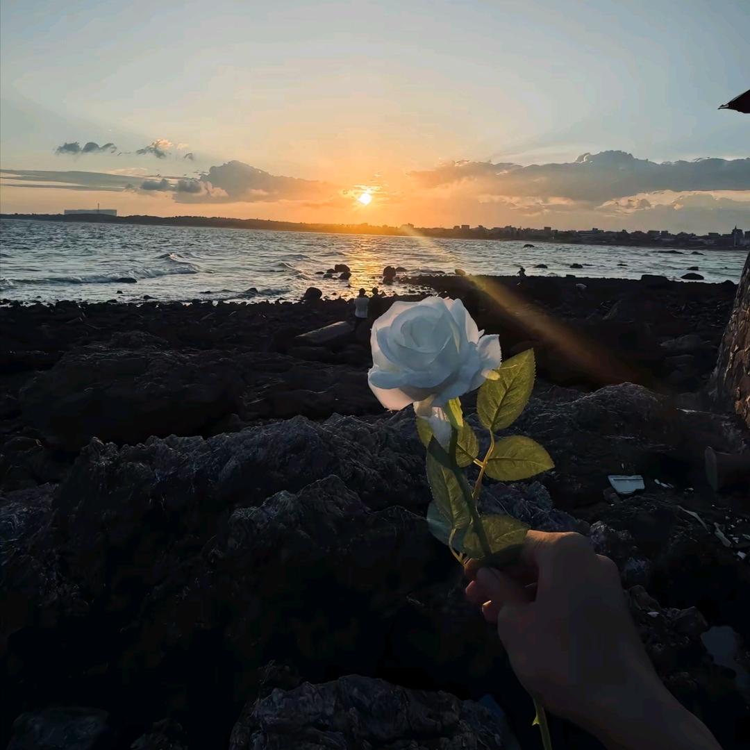 治愈你的白发