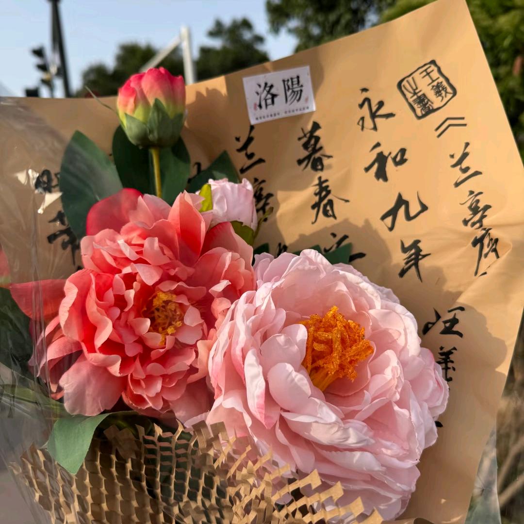 洛阳毛大姐牡丹