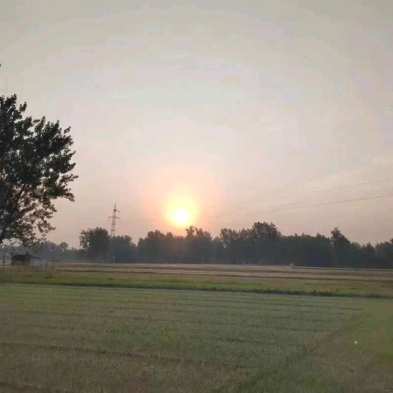 顺心装璜（向阳而生）