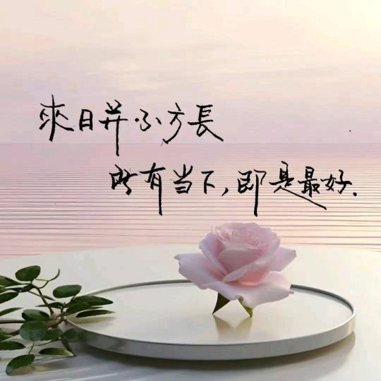 丰“付”多彩♥