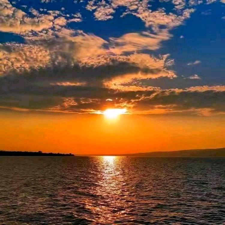 星月情缘🎉爱相随520✨️