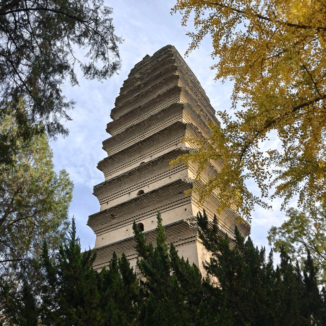 唐河-菜鸟-共同配送中心