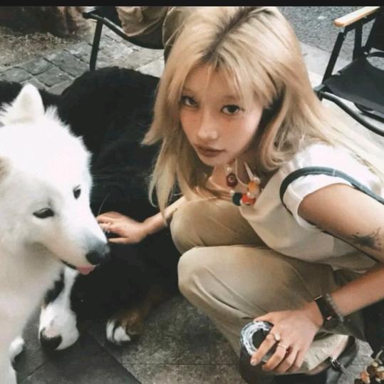 𝑴𝒊𝒔𝒔𝑾𝒓𝒂𝒊𝒕𝒉