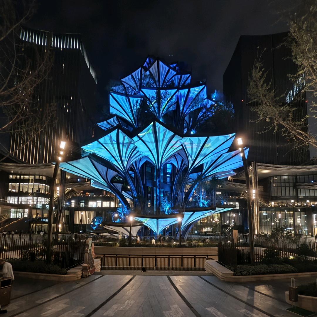 💫💫💞被风遗忘的夏天💞💖