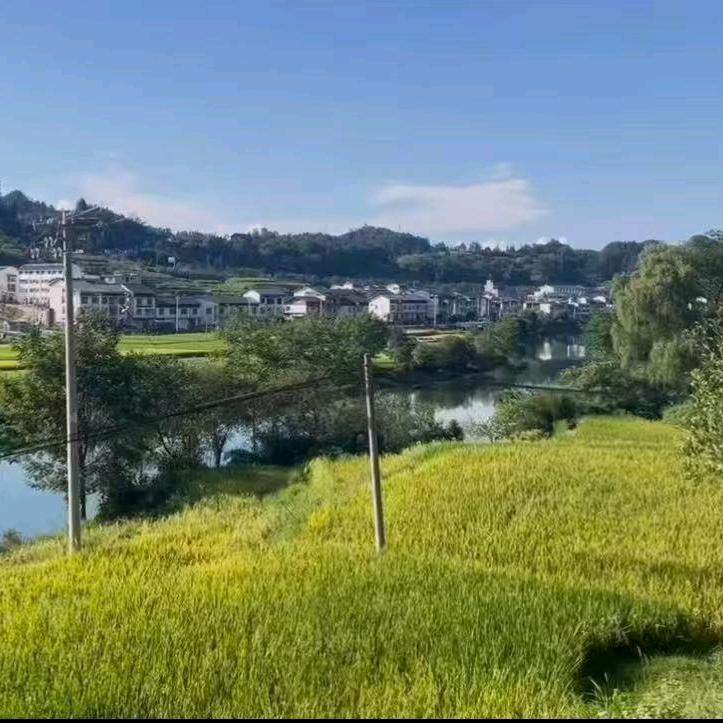 弘润农品
