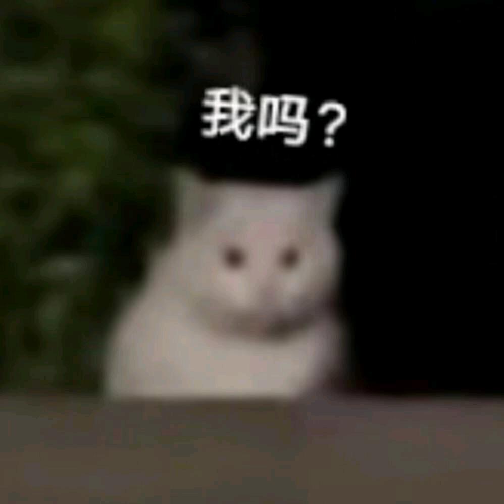 后夜莲城