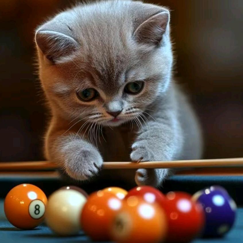 翠姐台球解压娱乐