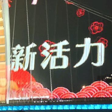 小杨先生