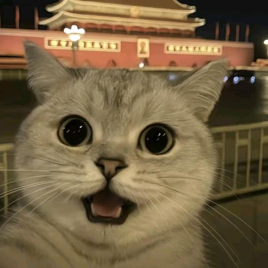 大哲
