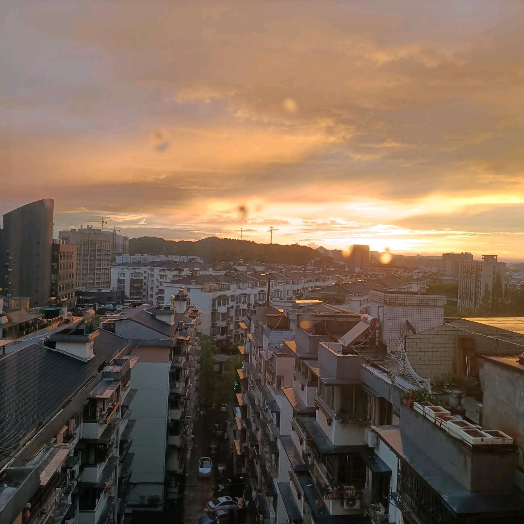 海棠