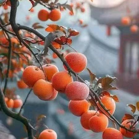 兖大视光中心～禹城店