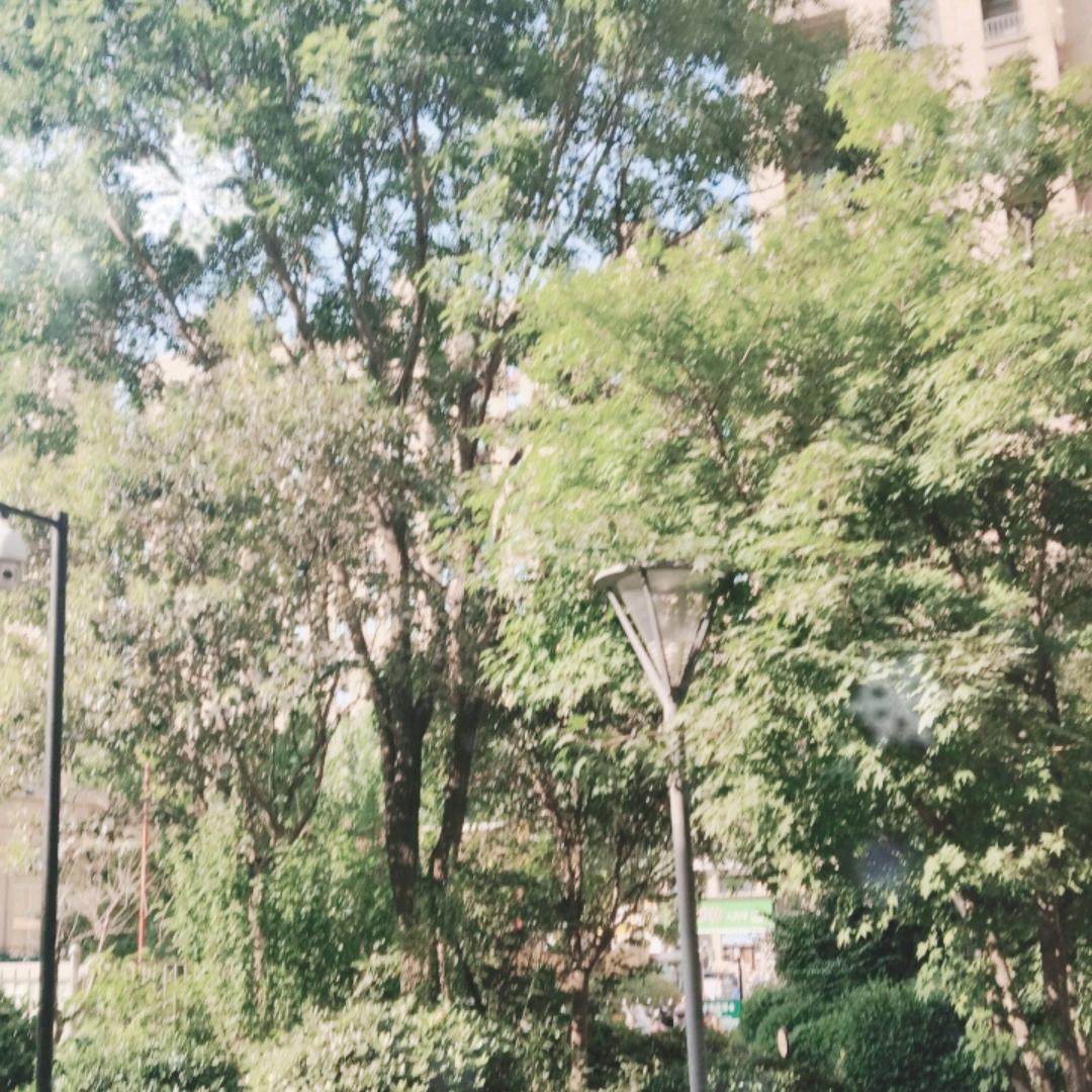 楠姐