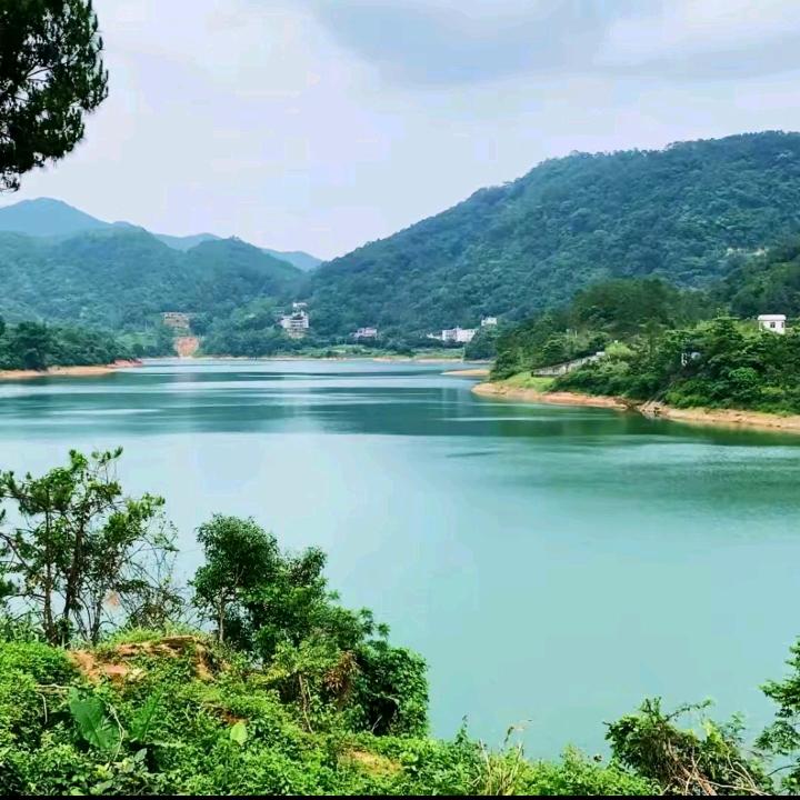 阿木