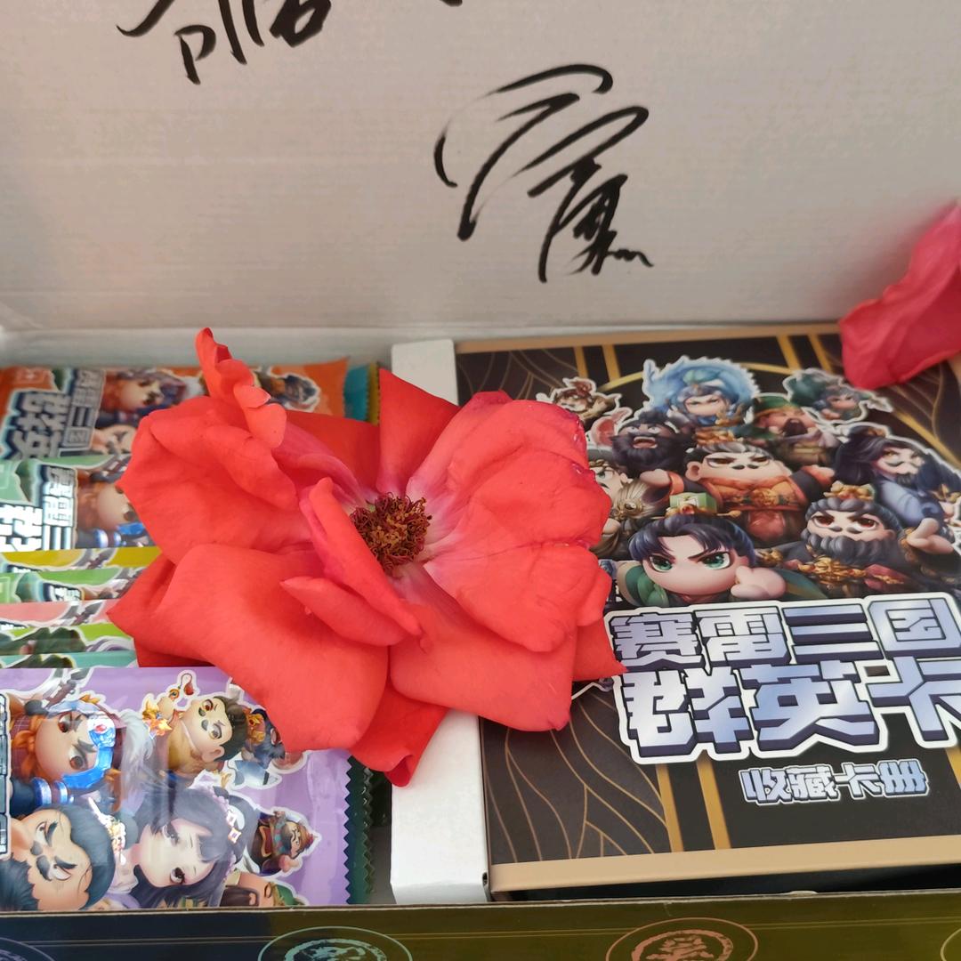 爱音乐的亨元妈妈