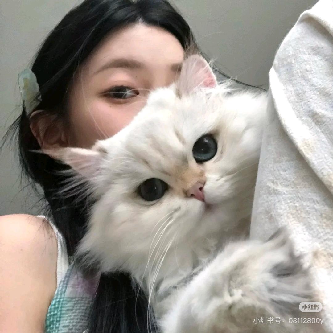 雪橙baby