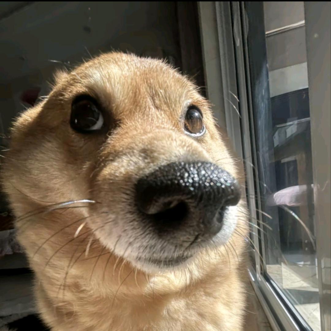 王帅嘚儿
