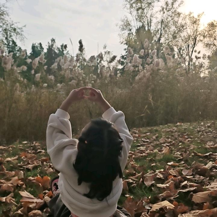 小茉溪
