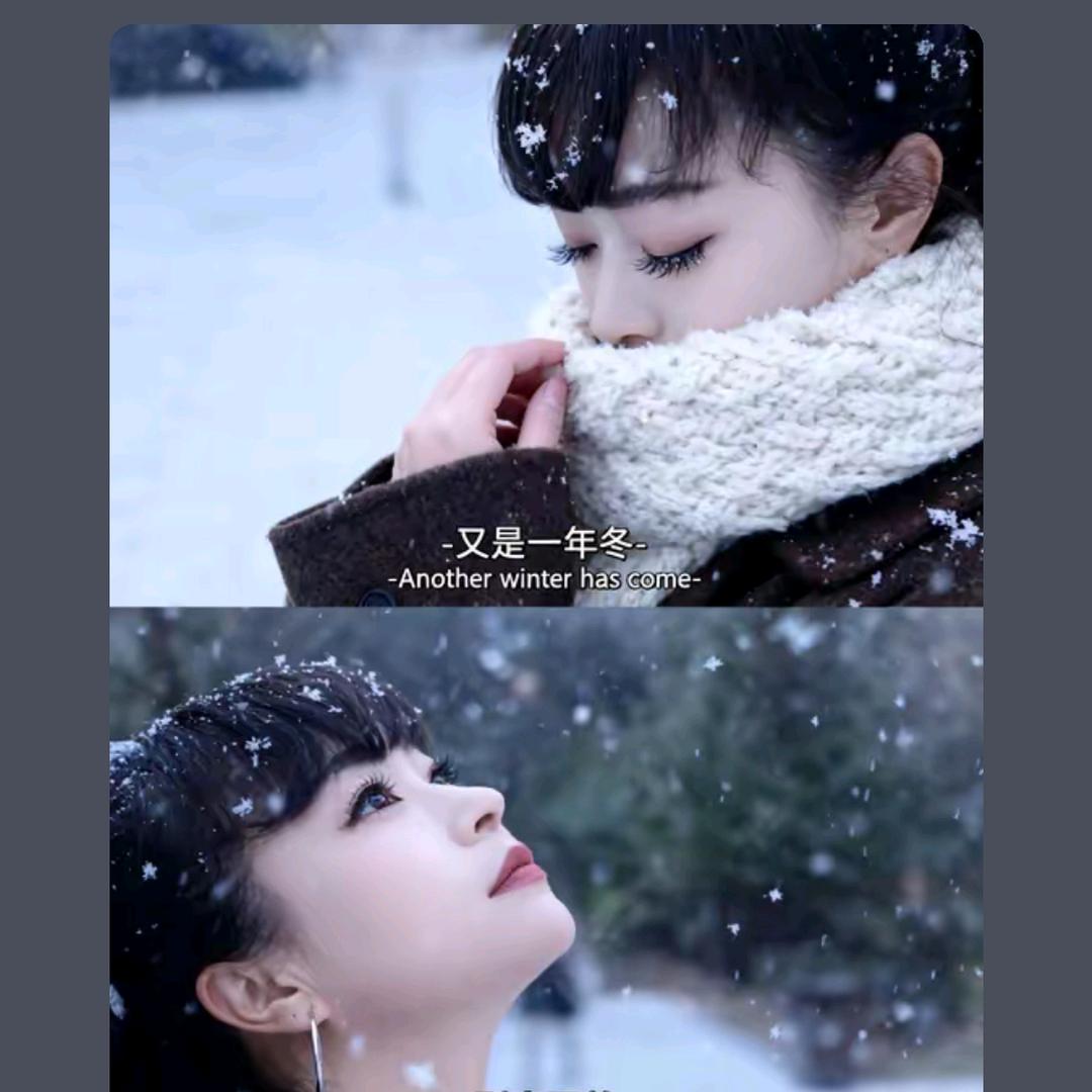 🌹掉落的🌹玫瑰🌹