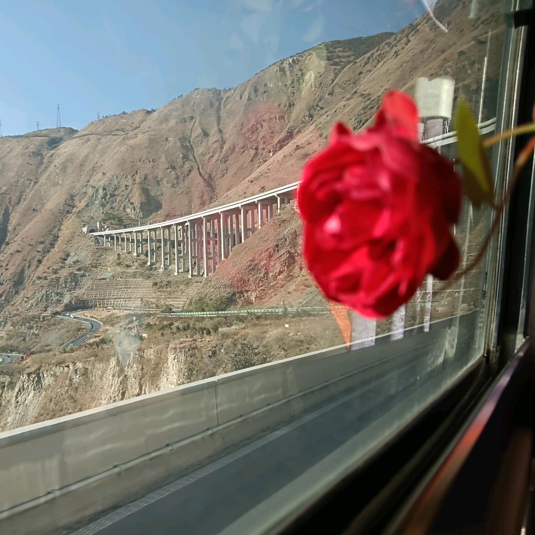 @ƪ(˘⌣˘)ʃ优雅