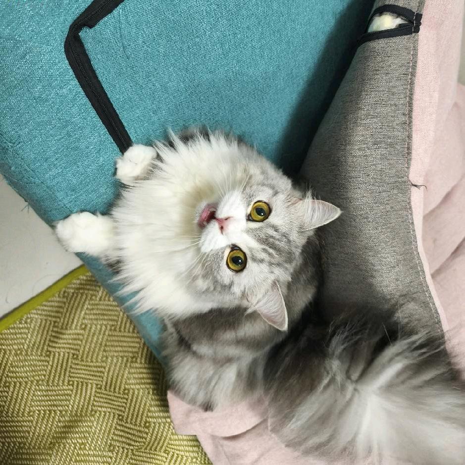 哈哈哈哈哈哈哈