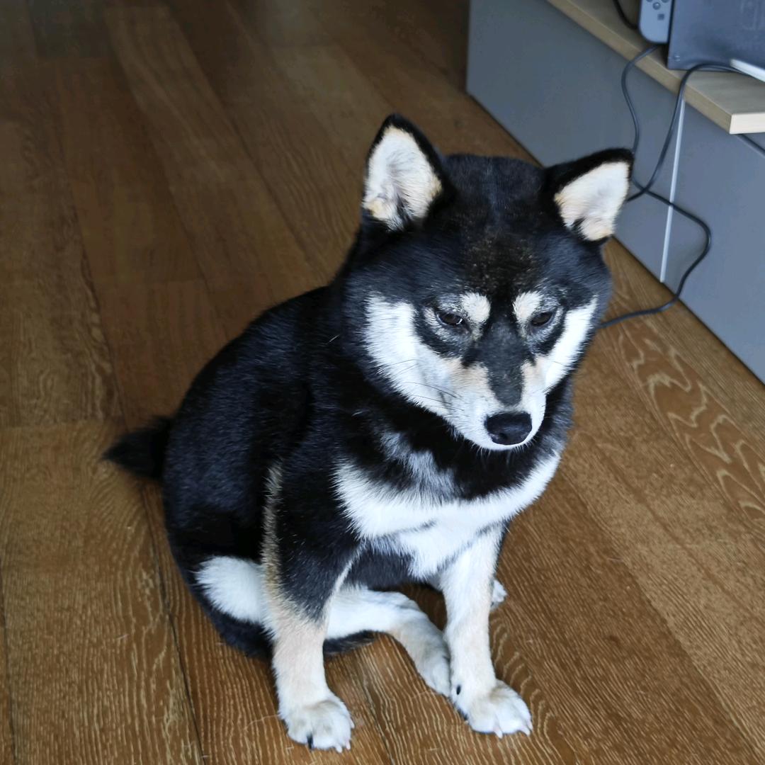 老王