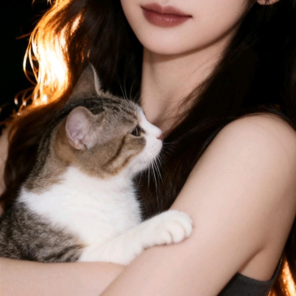 E型的YY😽