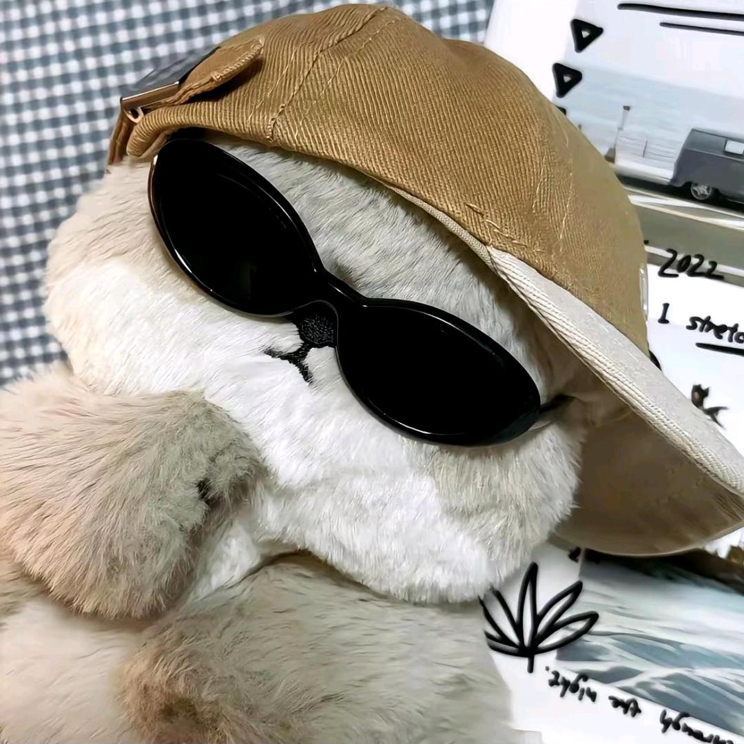 @诸葛松