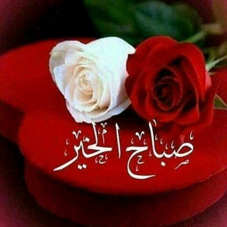 ᭄ᩚ꯭ᩚ꧁㝊怘꧂