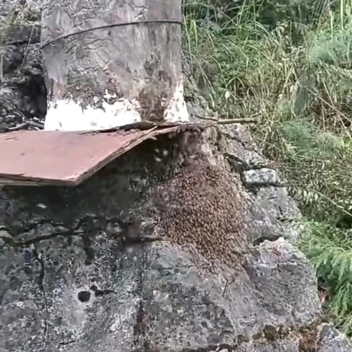 性格孙陈