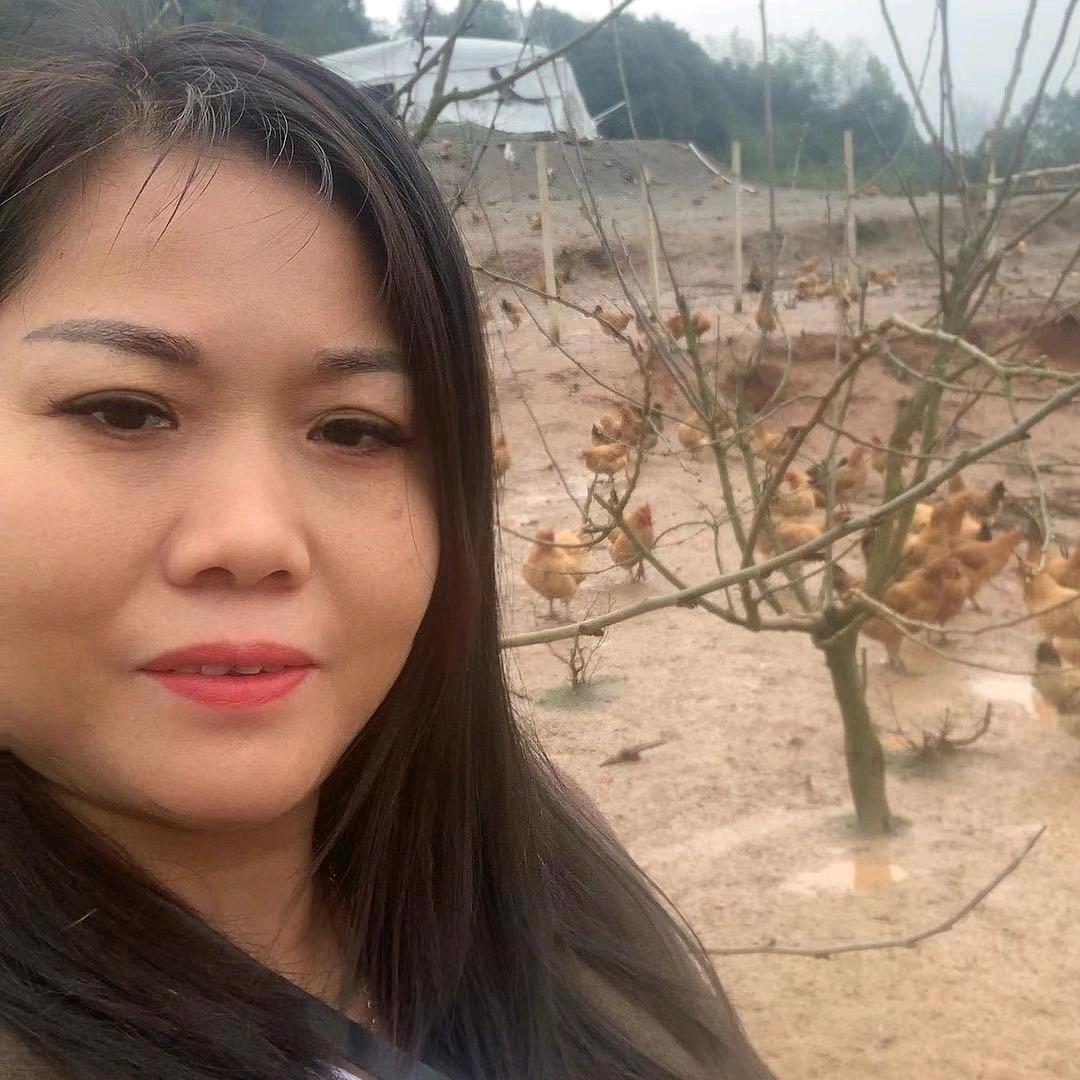 攸县湘鸾山土鸡蛋