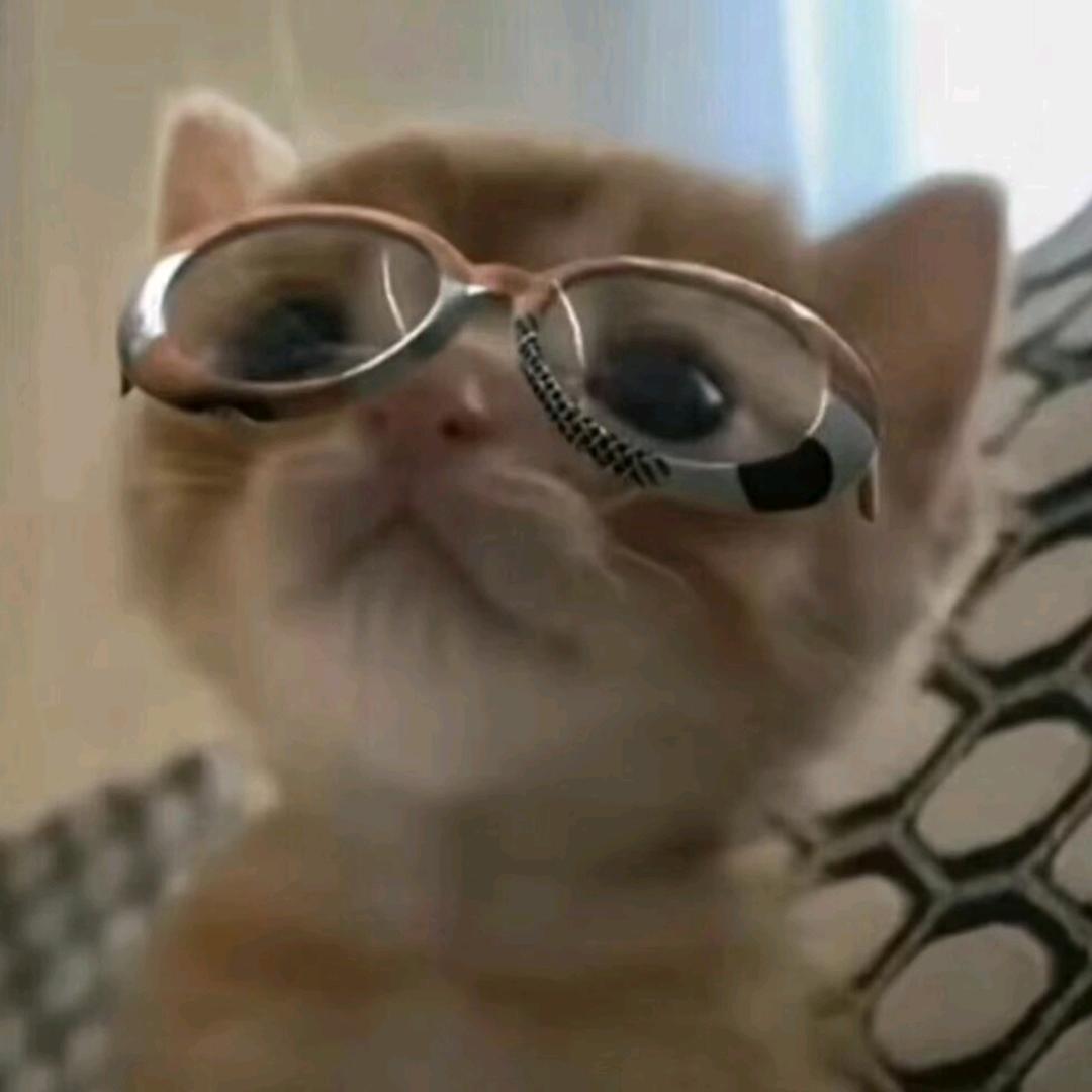 昱儿这个小猫₍˄·͈༝·͈˄₎