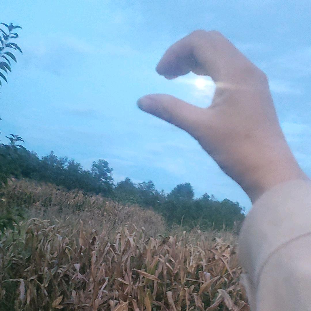 （爱情@@有毒）