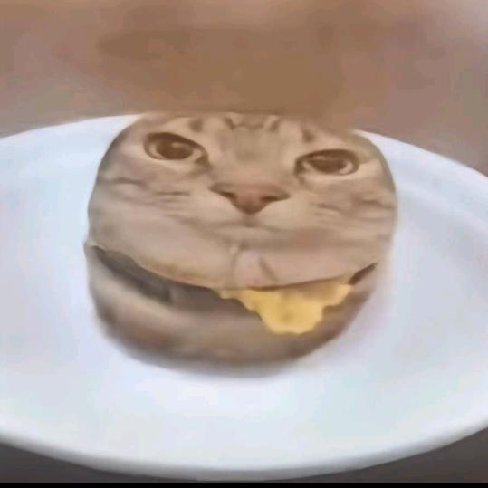 Hong