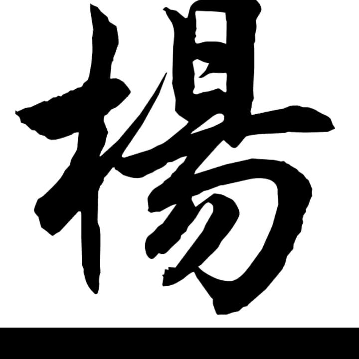 广西小哥哥货运男司机