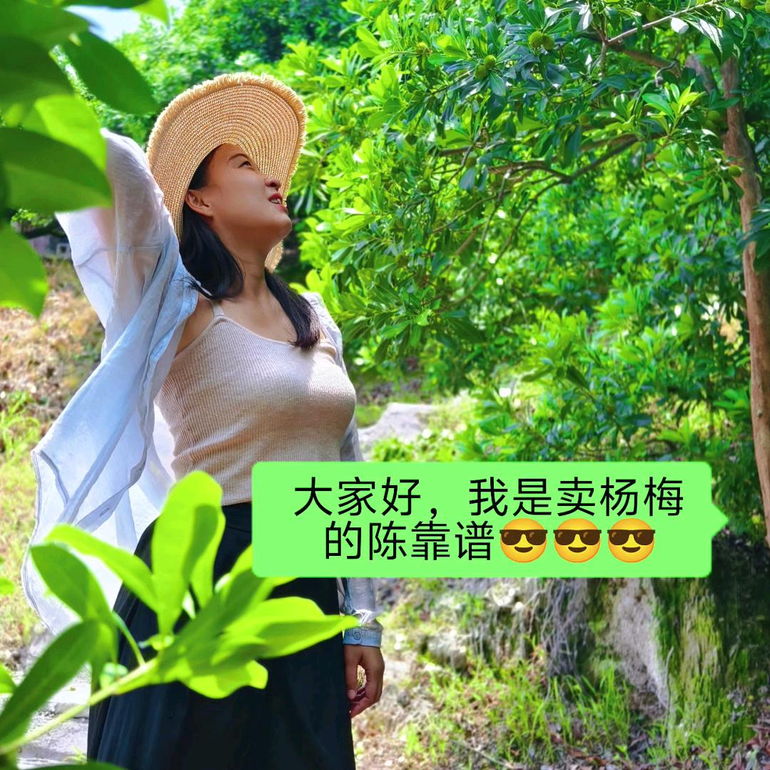 手可摘星陈～～仙居东魁杨梅