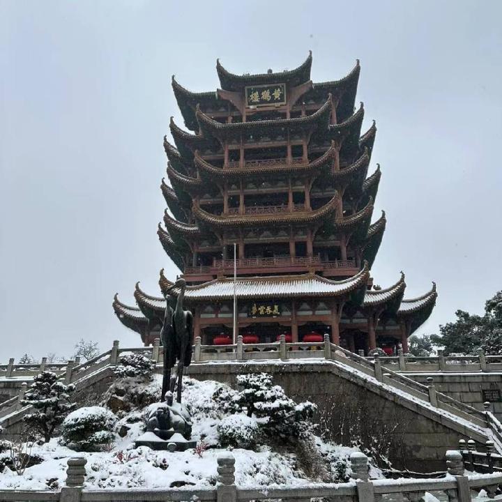 语桐